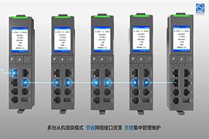 PDU PRO Vertical 16A Monitoreable - CCI Express